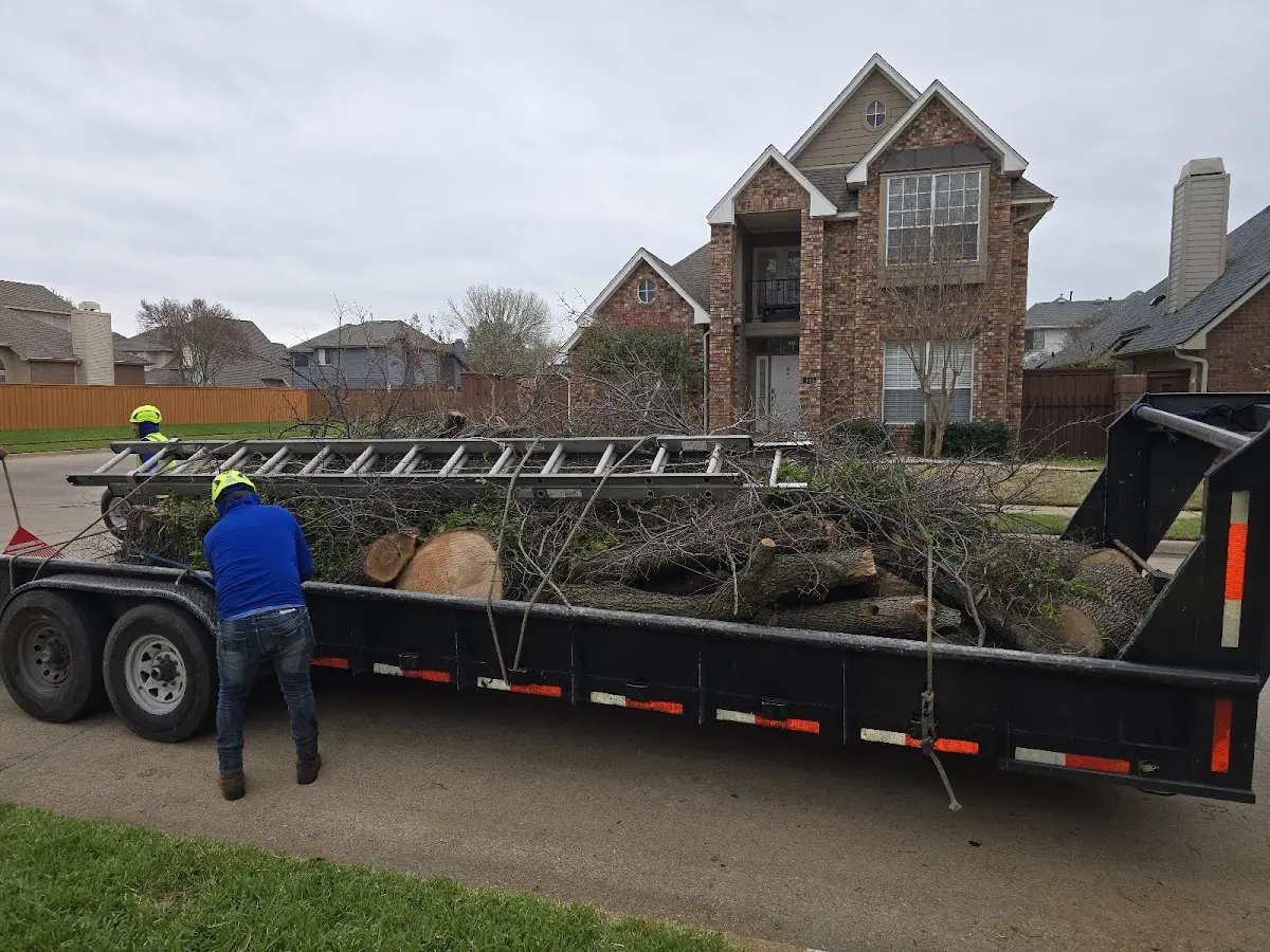Expert Lot Clearing with proper safety equipment in Junction City